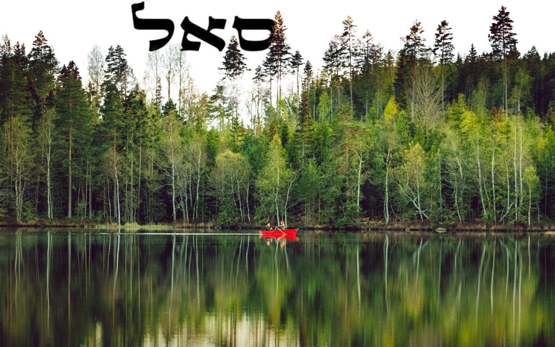 שפע רוחני וכלכלי- לא סתירה, אלא שלמות